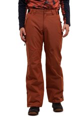 Icepeak мужские лыжные брюки Connel 57040-2*490, terra 6438522679482 цена и информация | Мужская лыжная одежда | kaup24.ee