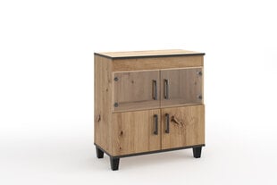 Elutoakapp ADRK Furniture POL06, pruun hind ja info | Elutoa väikesed kapid | kaup24.ee