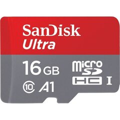 MEMORY MICRO SDHC 16GB UHS-I/W/A SDSQUAR-016G-GN6IA SANDISK hind ja info | Mobiiltelefonide mälukaardid | kaup24.ee