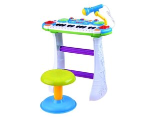 Klaver koos mikrofoni ja tooliga, sinine hind ja info | Arendavad mänguasjad | kaup24.ee