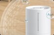 Õhuniisutaja Xiaomi Humidifier 2 Lite EU, MJJSQ06DY цена и информация | Õhuniisutajad | kaup24.ee