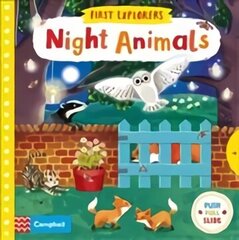 Night Animals Main Market Ed. цена и информация | Книги для малышей | kaup24.ee