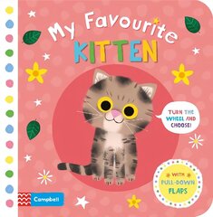 My Favourite Kitten цена и информация | Книги для малышей | kaup24.ee