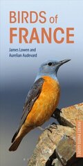 Birds of France цена и информация | Путеводители, путешествия | kaup24.ee