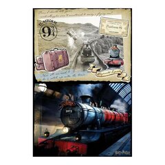 Головоломка Harry Potter Hogwarts Express Harry Potter Scratch Off, 500 деталей цена и информация | Пазлы | kaup24.ee