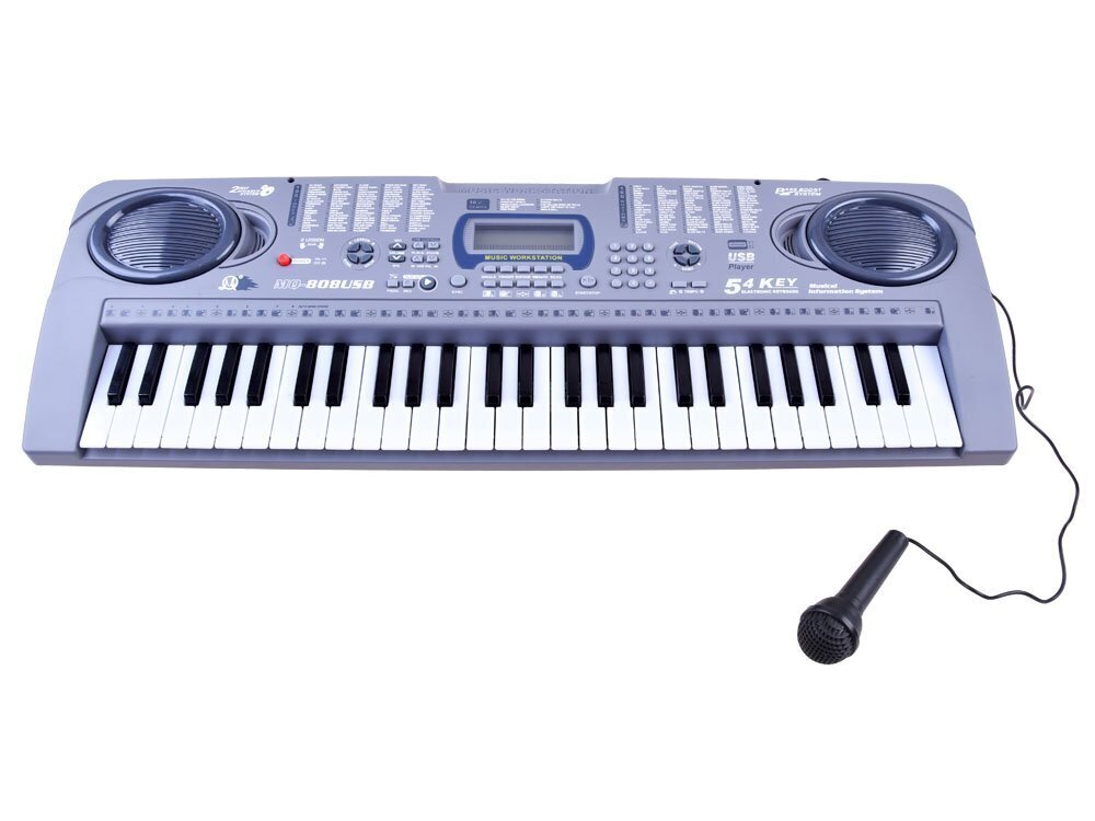 Klaver koos mikrofoniga Keyboard MQ-808USB, 54 klahvi hind ja info | Arendavad mänguasjad | kaup24.ee