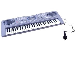 Klaver koos mikrofoniga Keyboard MQ-808USB, 54 klahvi цена и информация | Развивающие игрушки | kaup24.ee