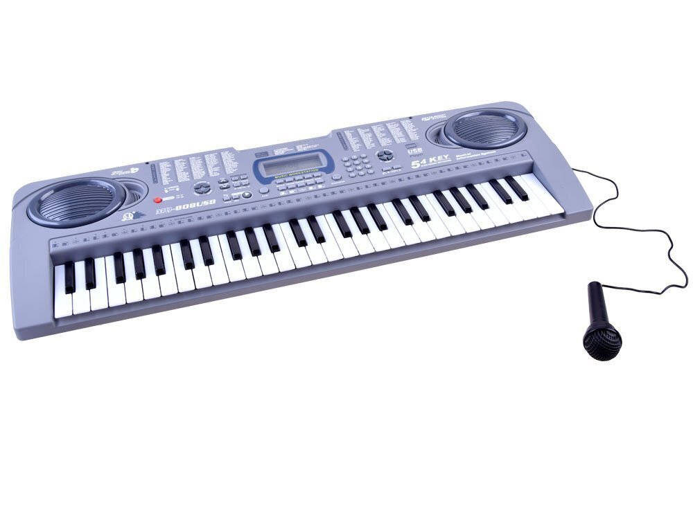 Klaver koos mikrofoniga Keyboard MQ-808USB, 54 klahvi hind ja info | Arendavad mänguasjad | kaup24.ee