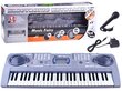 Klaver koos mikrofoniga Keyboard MQ-808USB, 54 klahvi hind ja info | Arendavad mänguasjad | kaup24.ee