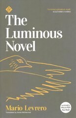 Luminous Novel цена и информация | Романы | kaup24.ee