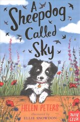 Sheepdog Called Sky цена и информация | Книги для подростков и молодежи | kaup24.ee