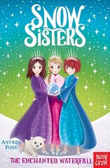 Snow Sisters: The Enchanted Waterfall цена и информация | Книги для подростков и молодежи | kaup24.ee