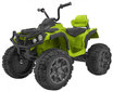 Quad ATV, roheline hind ja info | Laste elektriautod | kaup24.ee