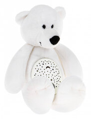 Interaktiivne Pehme mänguasi - Teddy Bear цена и информация | Мягкие игрушки | kaup24.ee