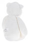 Interaktiivne Pehme mänguasi - Teddy Bear цена и информация | Pehmed mänguasjad | kaup24.ee