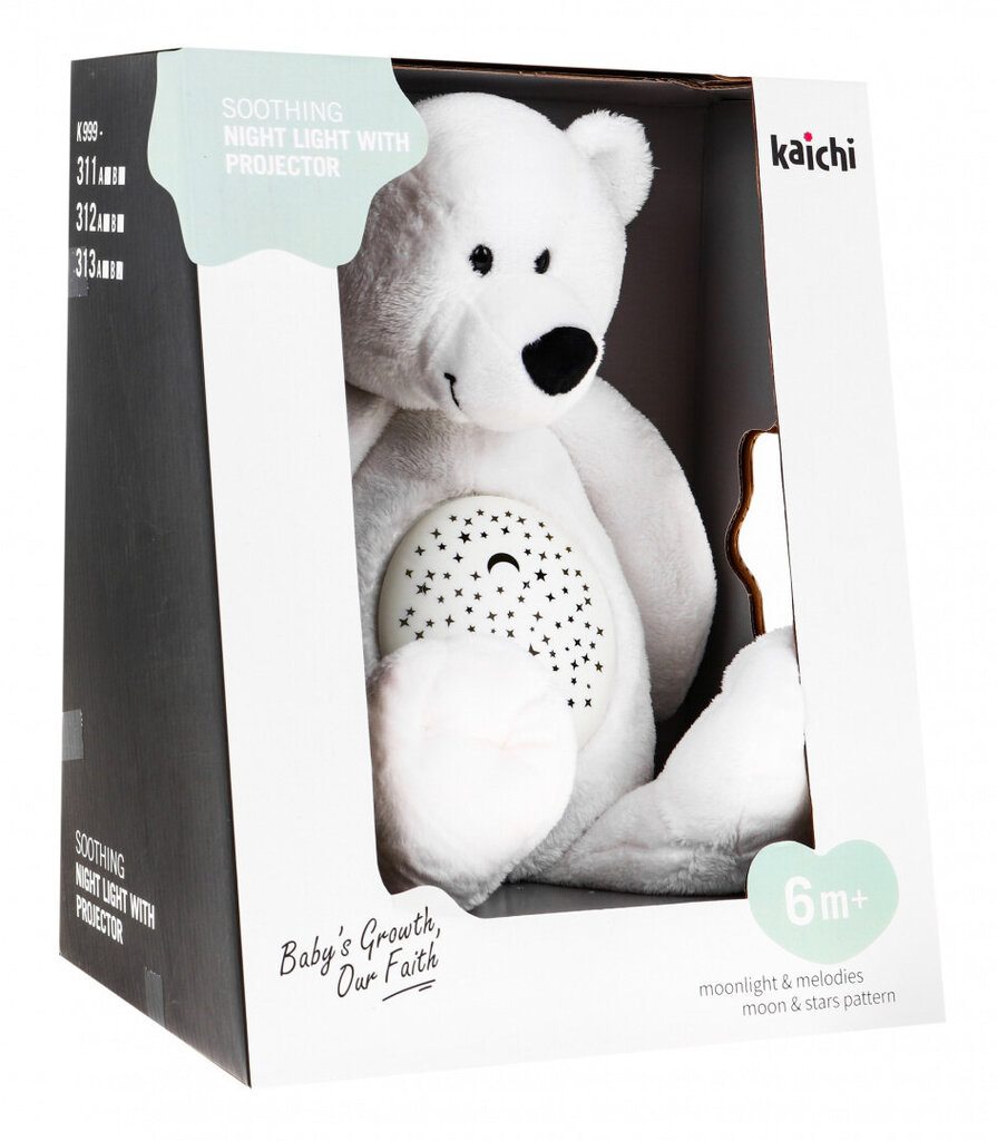 Interaktiivne Pehme mänguasi - Teddy Bear цена и информация | Pehmed mänguasjad | kaup24.ee