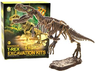 Набор археолога, тираннозавр Рекс цена и информация | Развивающие игрушки | kaup24.ee