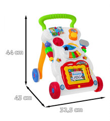 Multifunktsionaalne jalutuskäigukast hind ja info | Arendavad mänguasjad | kaup24.ee