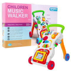 Multifunktsionaalne jalutuskäigukast цена и информация | Развивающие игрушки | kaup24.ee