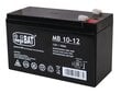 Aku 12V/10Ah hind ja info | Akud | kaup24.ee