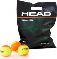 Head Trainer tennis balls 72 pcs. 578120 hind ja info | Välitennise tooted | kaup24.ee