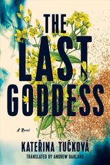 Last Goddess: A Novel hind ja info | Fantaasia, müstika | kaup24.ee