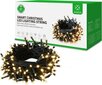 LED valgustusnöör WOOXR5151Smart Christmas, 20 m hind ja info | Jõulutuled | kaup24.ee