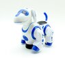 Muusikaline mänguasi Dancing Puppy цена и информация | Poiste mänguasjad | kaup24.ee