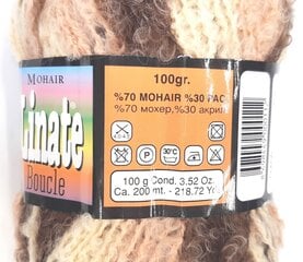 Пряжа для вязания Linate Mohair Boucle 100г; окрас пестрый 170 цена и информация | Принадлежности для вязания | kaup24.ee
