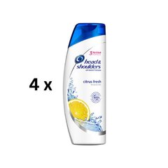 Šampoon HEAD & SHOULDERS Citrus, 400 ml, pakis 4 tk. hind ja info | Šampoonid | kaup24.ee