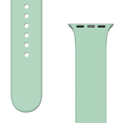 Hurtel Watch Band Light Green цена и информация | Аксессуары для смарт-часов и браслетов | kaup24.ee