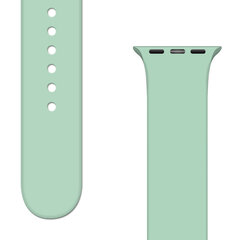 Asendusrihm Apple Watchi 8/7/6/5/4/3/2 / SE (45/44 / 42mm) Light Green цена и информация | Аксессуары для смарт-часов и браслетов | kaup24.ee