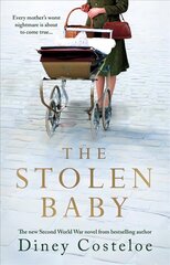 Stolen Baby цена и информация | Фантастика, фэнтези | kaup24.ee