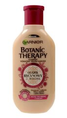 Šampoon Botanic Therapy, 400 ml hind ja info | Šampoonid | kaup24.ee