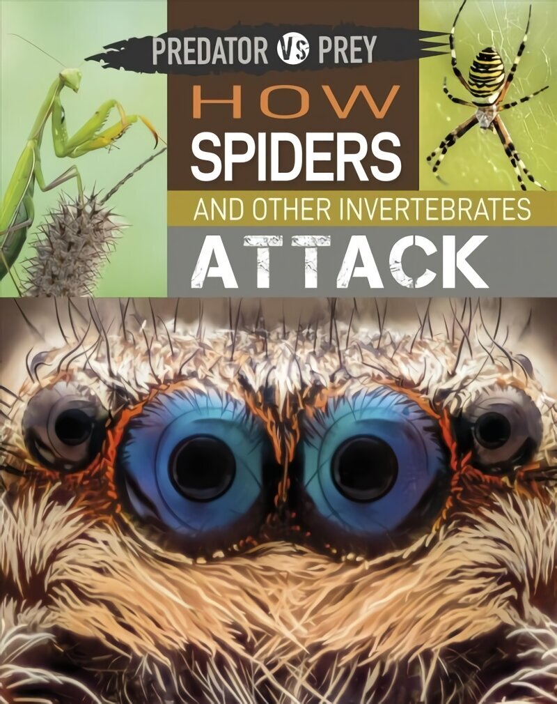 Predator vs Prey: How Spiders and other Invertebrates Attack Illustrated edition hind ja info | Noortekirjandus | kaup24.ee
