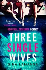 Three Single Wives: The devilishly twisty, breathlessly addictive must-read thriller цена и информация | Фантастика, фэнтези | kaup24.ee