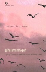 Shimmer: Flying Fox Exuberance in Worlds of Peril цена и информация | Исторические книги | kaup24.ee
