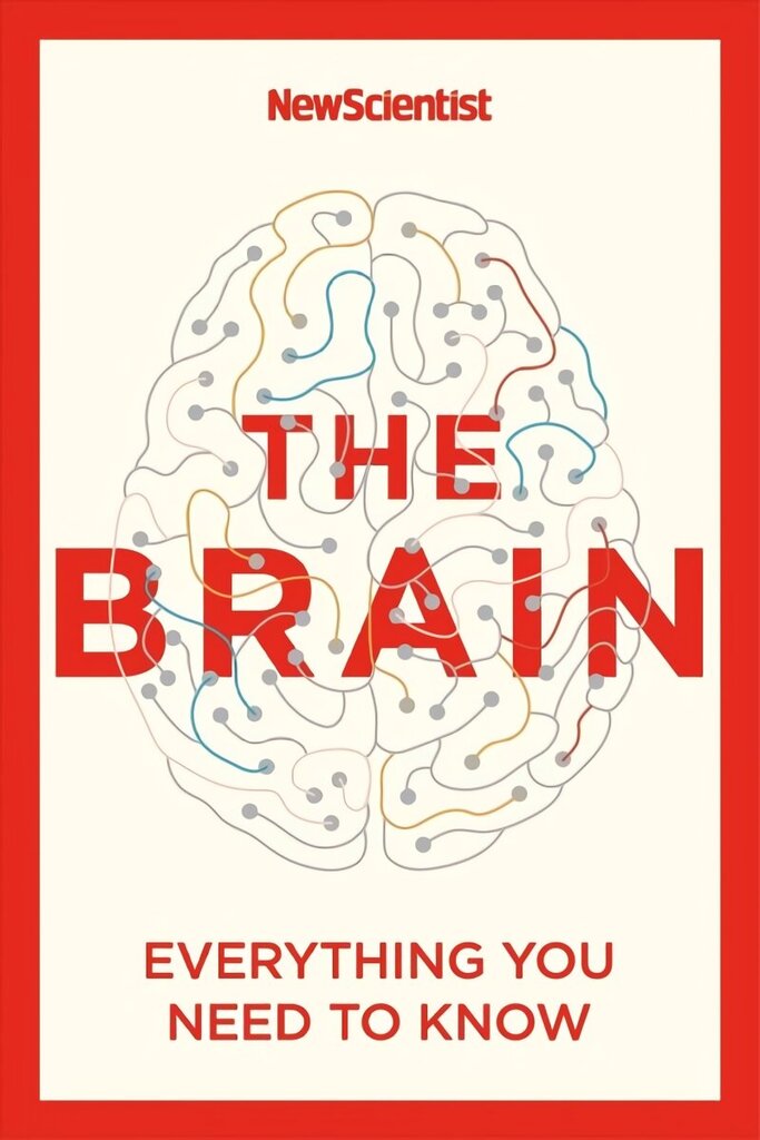 Brain: Everything You Need to Know цена и информация | Majandusalased raamatud | kaup24.ee