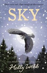 Sky цена и информация | Книги для подростков и молодежи | kaup24.ee