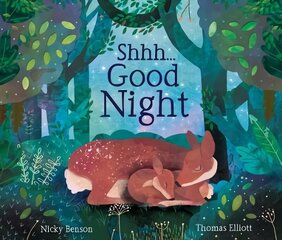 Shhh...Good Night цена и информация | Книги для подростков и молодежи | kaup24.ee