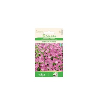 Hübriid Aubrieta Cascade Purple hind ja info | Lilleseemned | kaup24.ee