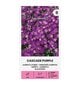 Hübriid Aubrieta Cascade Purple цена и информация | Lilleseemned | kaup24.ee