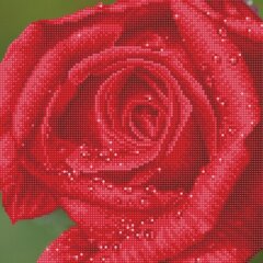 Teemantmosaiik Rose Dew, 30,50x30,50 cm цена и информация | Алмазная мозаика | kaup24.ee