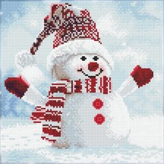 Teemantmosaiik Snowman, 30,50x30,50 cm hind ja info | Teemantmaalid, teemanttikandid | kaup24.ee