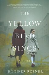 Yellow Bird Sings цена и информация | Фантастика, фэнтези | kaup24.ee