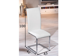 Обеденный стул Montana, белый цена и информация | Стулья для кухни и столовой | kaup24.ee
