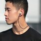 Uniq Vencer, AirPods 3rd gen. hind ja info | Kõrvaklapid | kaup24.ee