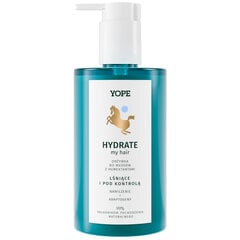 Yope Hydrate шампунь увлажняющий для сухой кожи с пептидами, 300 мл цена и информация | Шампуни | kaup24.ee