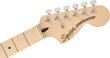 Elektrikitarr Fender Affinity Series™ Stratocaster®, must hind ja info | Kitarrid | kaup24.ee