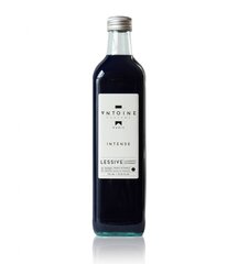 Antoine pesuaine Intense, 750 ml hind ja info | Pesuvahendid | kaup24.ee